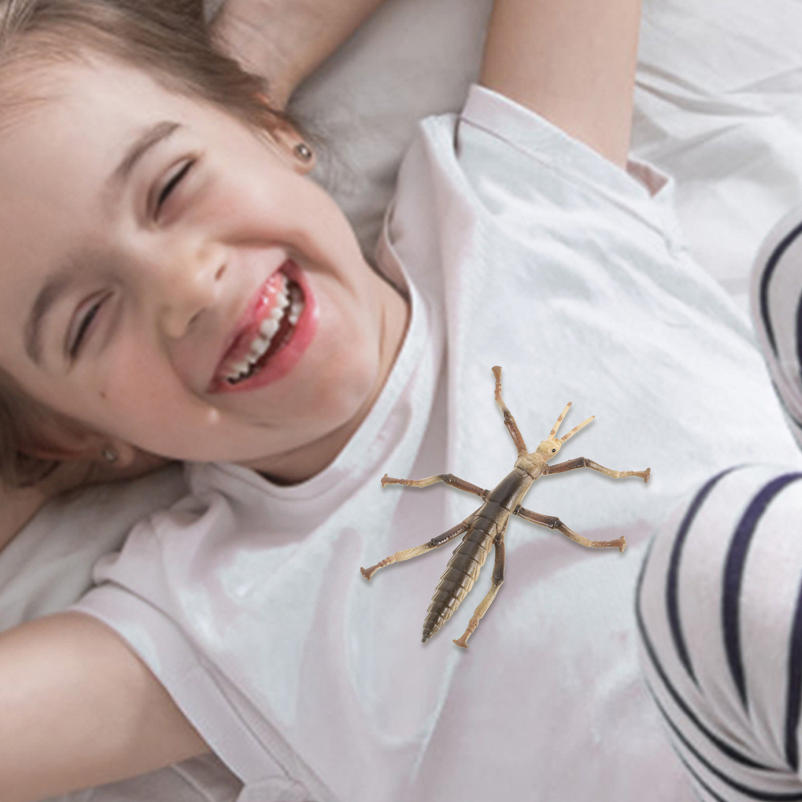 Kids Education Activities - Sturdy Plastic Stick Insect for Kids