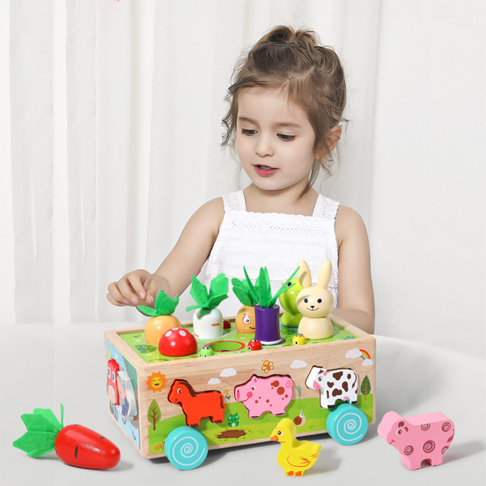 Wooden Shape Assortment Matchi - Kids Education Number recension och pris