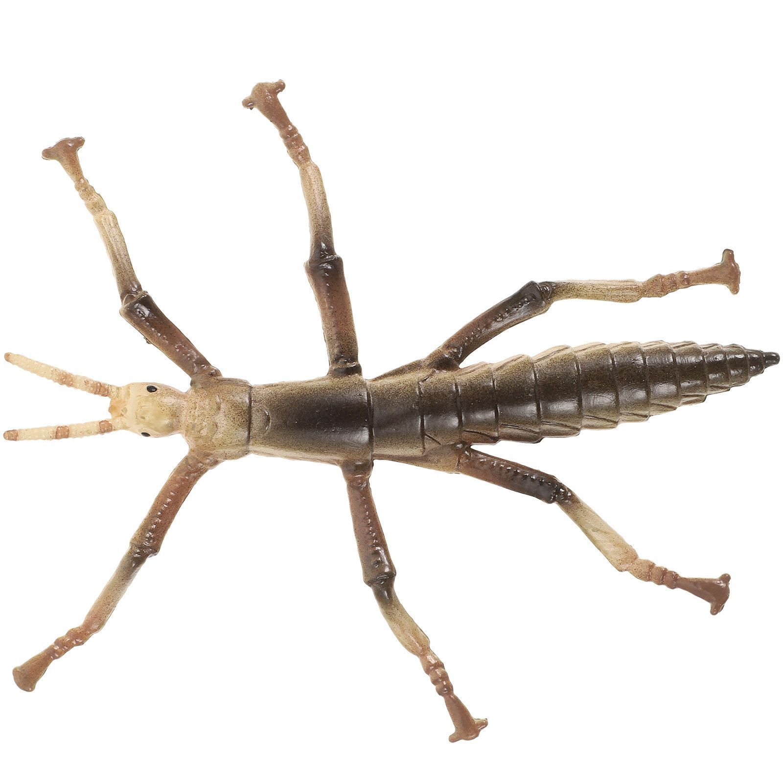 Sturdy Plastic Stick Insect fo - Kids Education Activities recension och pris